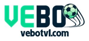 vebo-logo